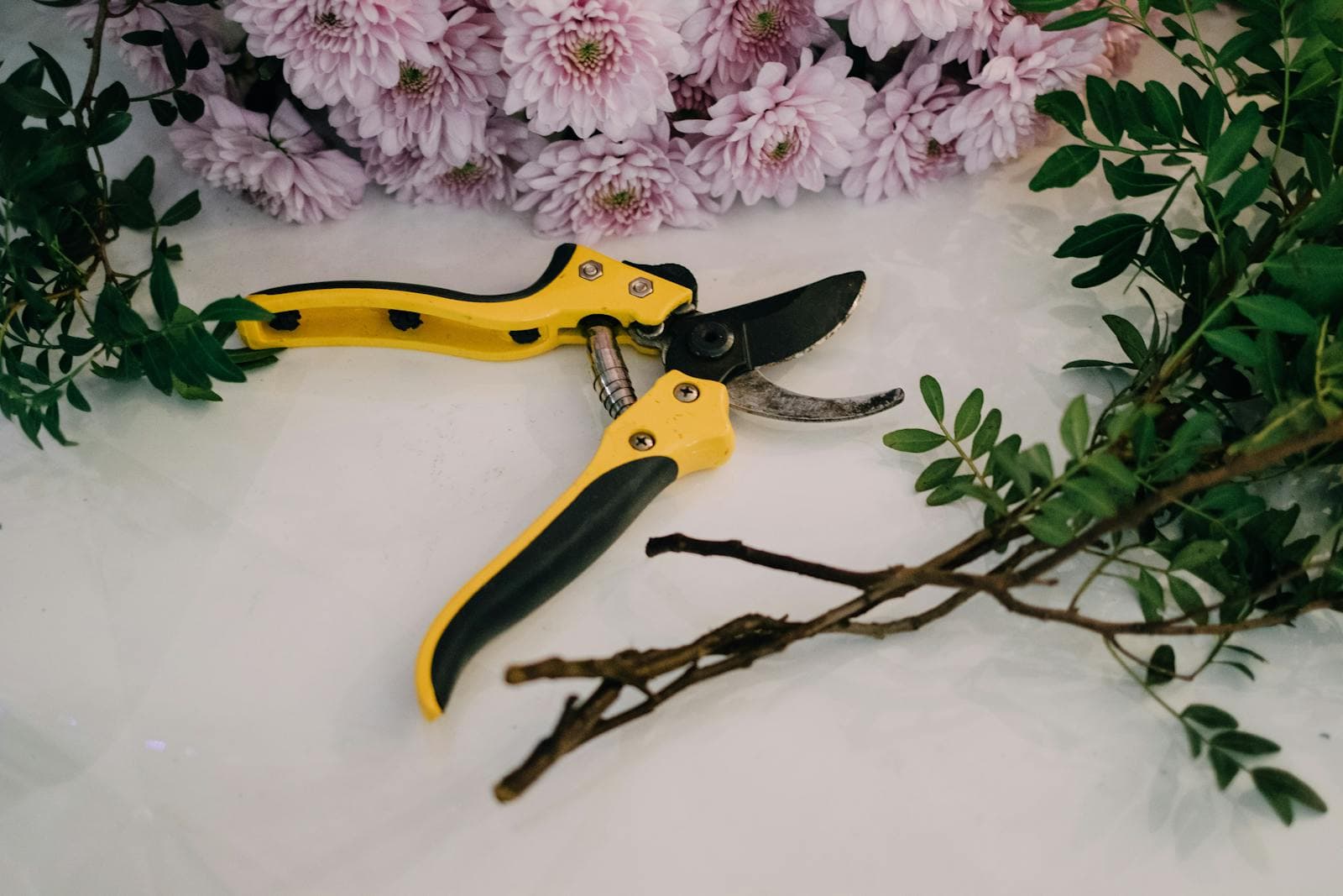 A Deadheading Routine That Keeps Flowers Coming
