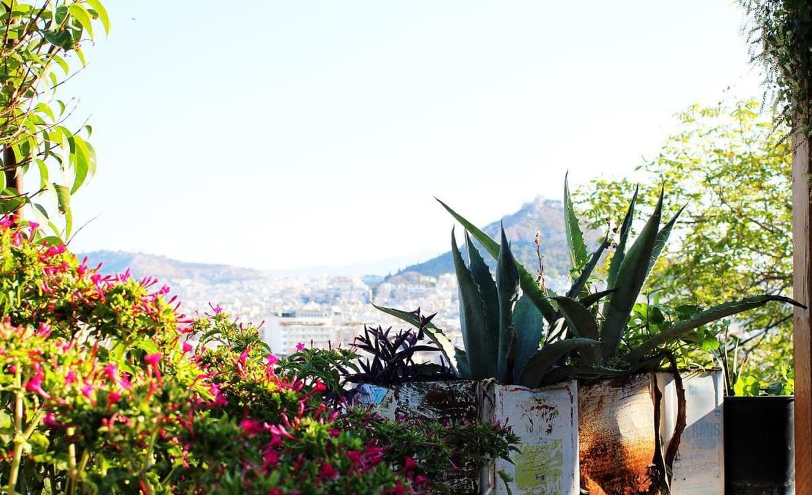 Balcony pots and greenery arranged in a small outdoor space