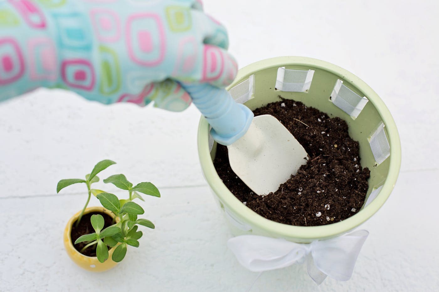 Beginner Gardening garden inspiration