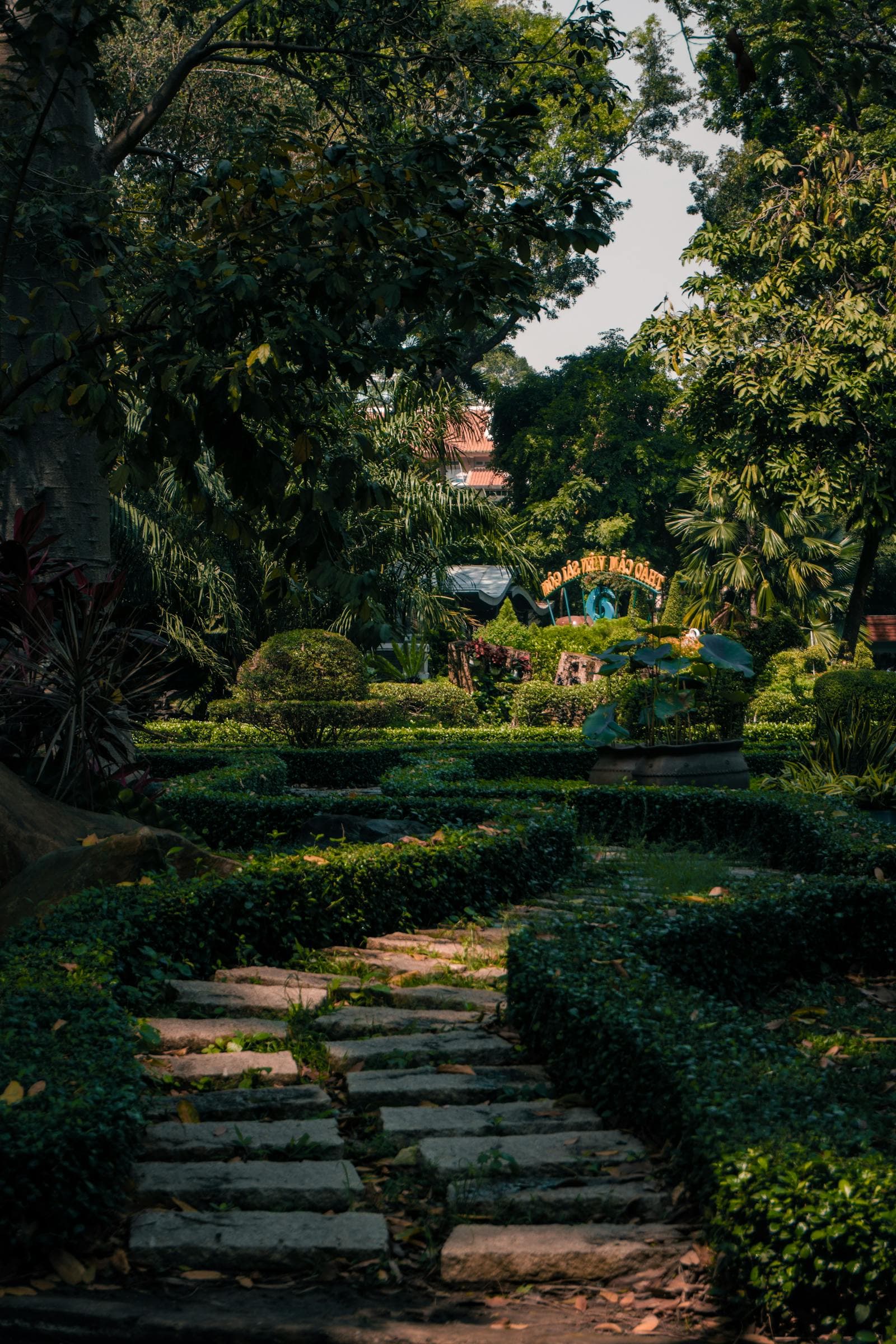 Garden Path Edge Plants That Stay Polite