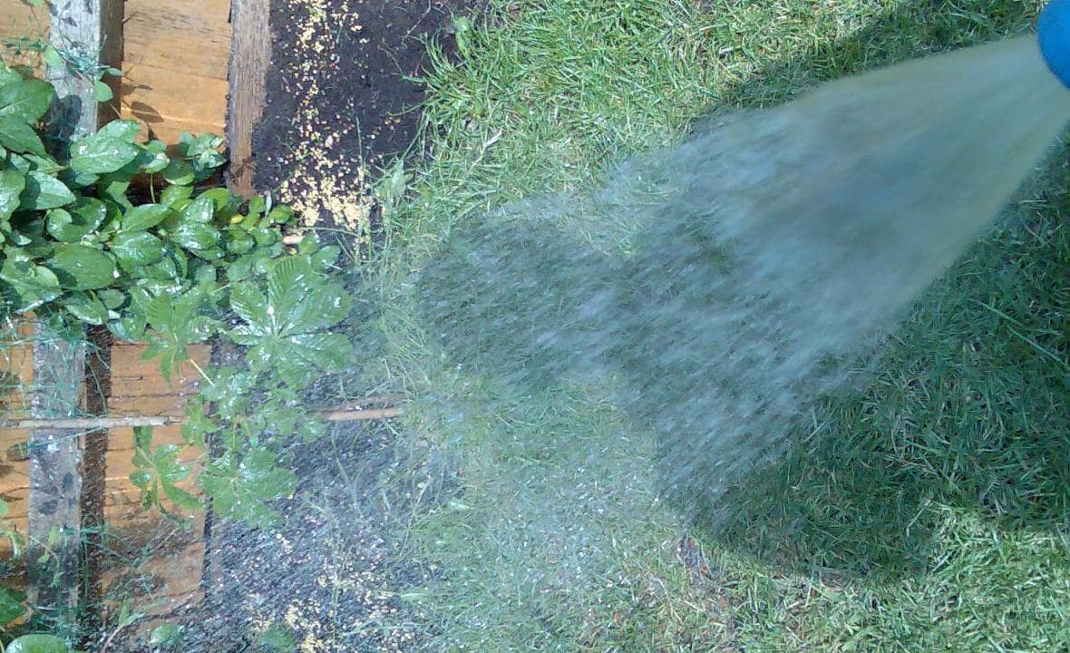 Water spraying deeply across a planted garden bed