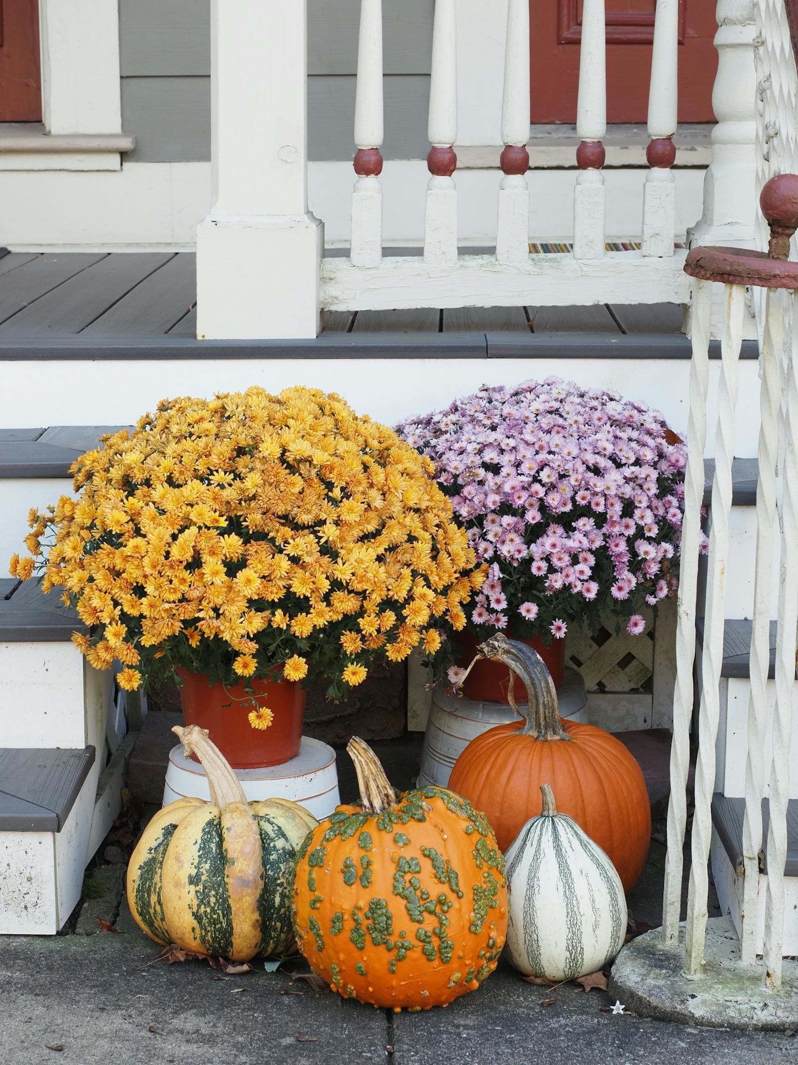 Porch Planters That Look Good Between Bloom Cycles