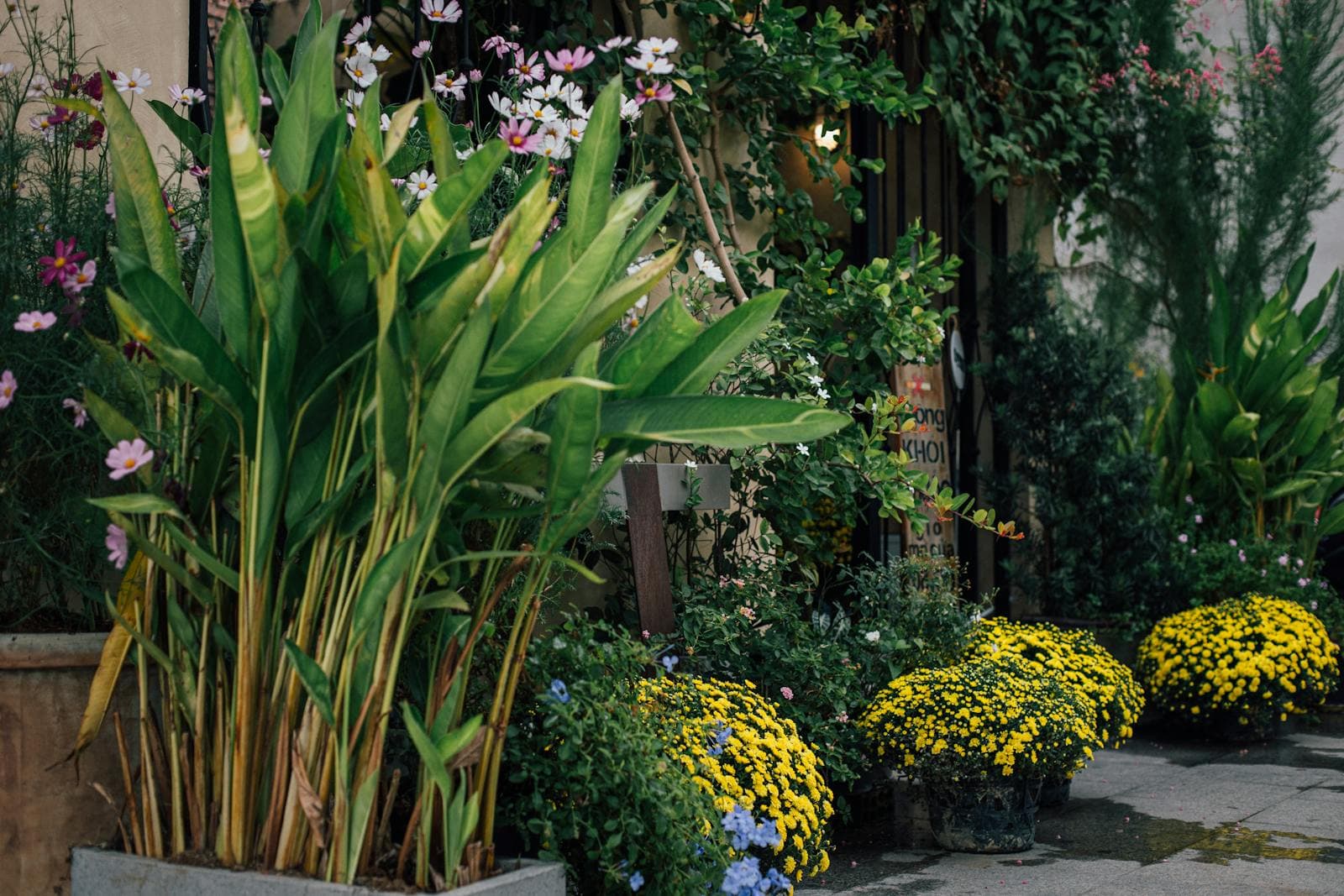 Why Companion Greenery Makes Flowers Look Better