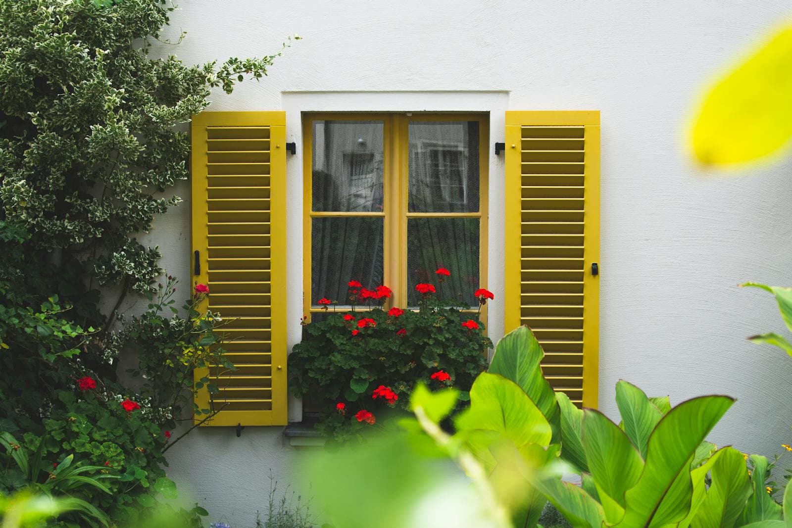 Window Box Flowers That Do Not Need Constant Fussing